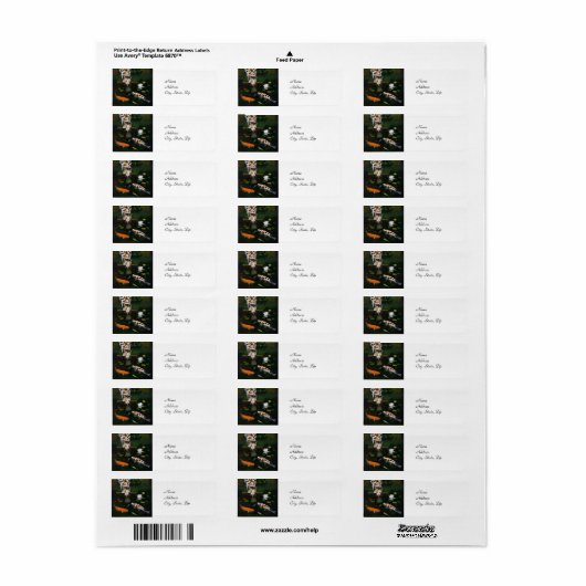 カリコ猫とコイ魚 ラベル (フルシート)