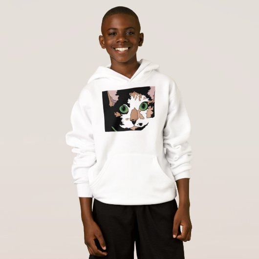 カリコ猫 (正面フル)