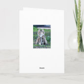 カリコ猫 カード (裏面)