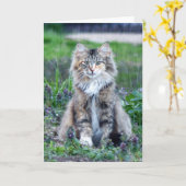 カリコ猫 カード (黄色い花)