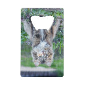 カリコ猫 クレジットカード栓抜き (裏面)
