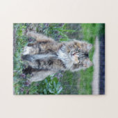 カリコ猫 ジグソーパズル (横)