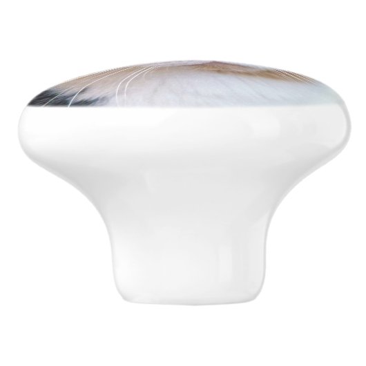 カリコ猫 セラミックノブ (側面)