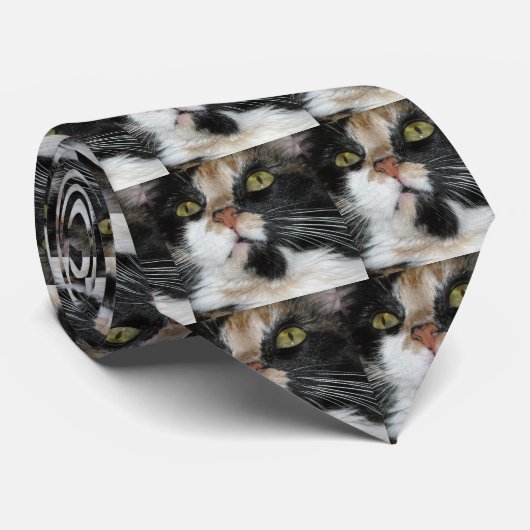 カリコ猫 ネクタイ (ロール)