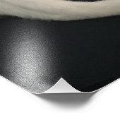 カリコ猫 フォトプリント            (角)