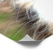 カリコ猫 ポスター (角)