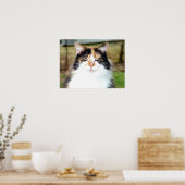 カリコ猫 ポスター (キッチン)