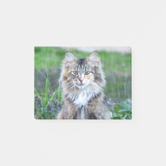 カリコ猫 ポストイット (正面)