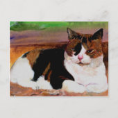 カリコ猫 ポストカード (正面)