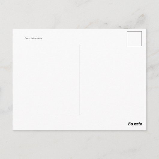 カリコ猫 ポストカード (裏面)