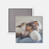 カリコ猫 マグネット (正面/裏面)