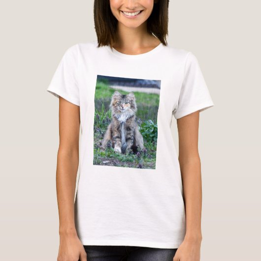 カリコ猫 Tシャツ (正面)