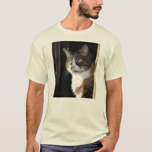 カリコ猫 Tシャツ (正面)