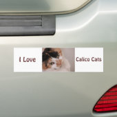 カリコ美しい猫 バンパーステッカー (車上)
