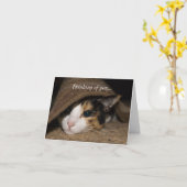 カリコ考えるタコスの カード (黄色い花)