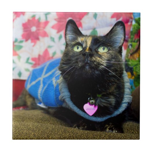 カリコ2世 タイル (正面)