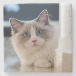 カリコ ストーンコースター