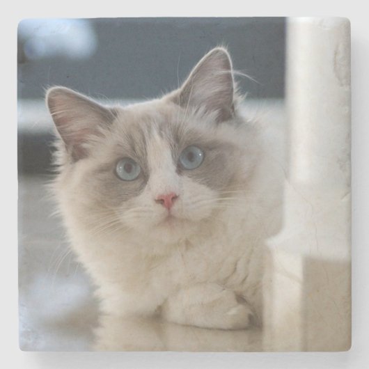 カリコ ストーンコースター (正面)