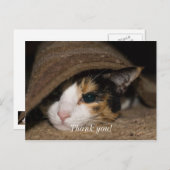 カリコ タコ サンクス ポストカード (正面/裏面)