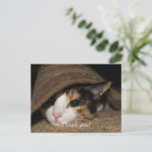 カリコ タコ サンクス ポストカード (スタンド正面)