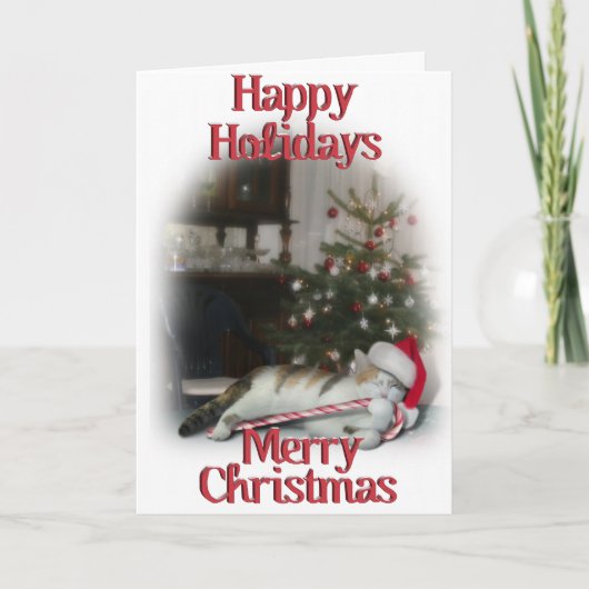 カリザキャンディーケーン子猫 シーズンカード (正面)