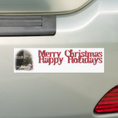 カリザキャンディーケーン子猫 バンパーステッカー (車上)