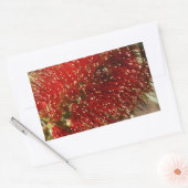 カリステモンレッドボトルブラシツリーフラワーオーストラリア 長方形シール (封筒)