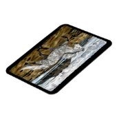 カリスマ性アイスランドホース マグネット (左側)