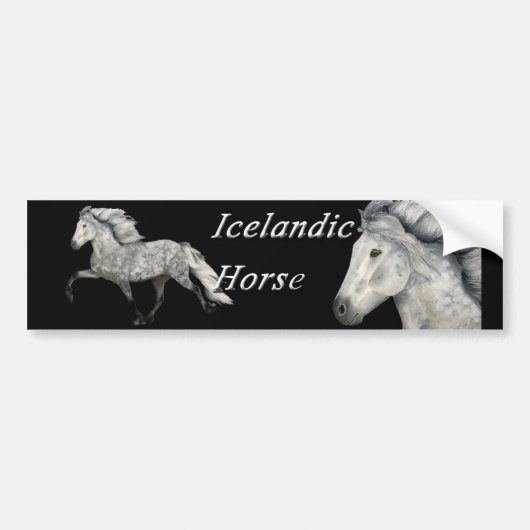 カリスマ バンパーステッカー (正面)