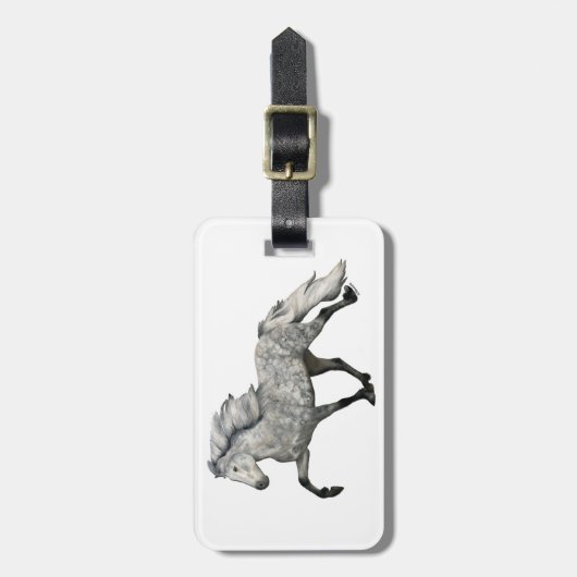 カリスマ ラゲッジタグ (正面縦)