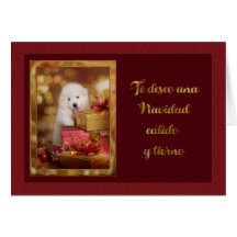 カリド・ナビダッド