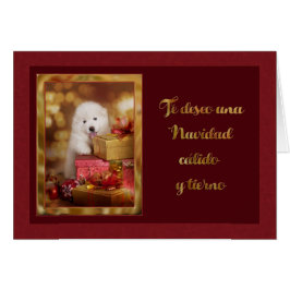 カリド・ナビダッド