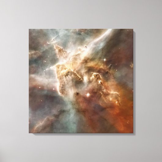 カリナネブラスター形成領域詳細 キャンバスプリント (正面)