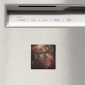 カリナ星雲 マグネット (インサイチュ (食洗機))