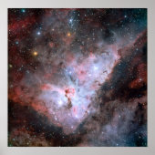 カリナ ポスター (正面)