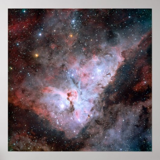 カリナ ポスター (正面)