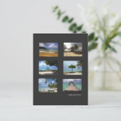 カリビクトゥーム ポストカード (スタンド正面)