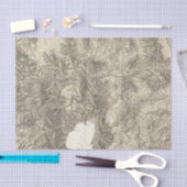 カリフォルニアおよびネバダ 薄葉紙 (クラフト)