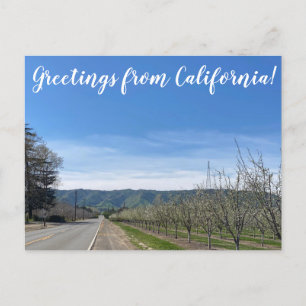 カリフォルニアからのご挨拶： Putah Creek Road ポストカード