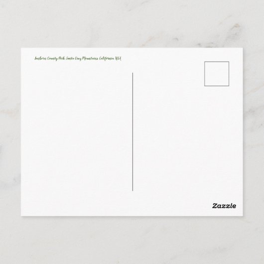 カリフォルニアからのご挨拶: Redwood Forest Bathe ポストカード (裏面)