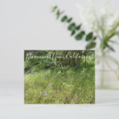 カリフォルニアからのブラッドンズ：イサリエルの槍 ポストカード (スタンド正面)