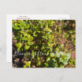 カリフォルニアからのブラッドンズ：エバーグリーンカラント ポストカード (正面/裏面)