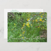 カリフォルニアからのブラッドンズ:ゴールデン・カラント ポストカード (正面/裏面)