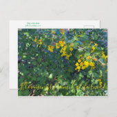 カリフォルニアからのブラッドンズ:ゴールデン・カラント ポストカード (正面/裏面)