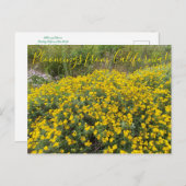 カリフォルニアからのブラッドンズ:ゴールデン・ヤロー ポストカード (正面/裏面)