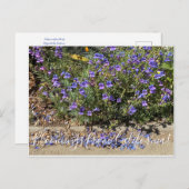 カリフォルニアからのブラッドンズ:ペンステモンマルガリータBOP ポストカード (正面/裏面)