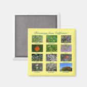 カリフォルニアからのブラッドンズ! マグネット (正面/裏面)