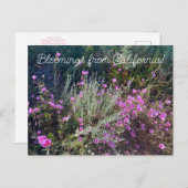 カリフォルニアからのブラッドンズ:春へのお別れ! ポストカード (正面/裏面)