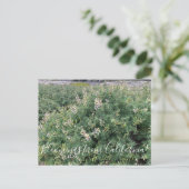 カリフォルニアからのブラッドンズ:沿岸のブッシュルピネ ポストカード (スタンド正面)