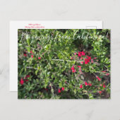 カリフォルニアからのブラームズ:アイランドスナップドラゴンポスト ポストカード (正面/裏面)